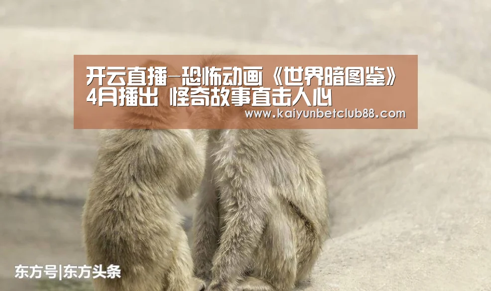 开云官网