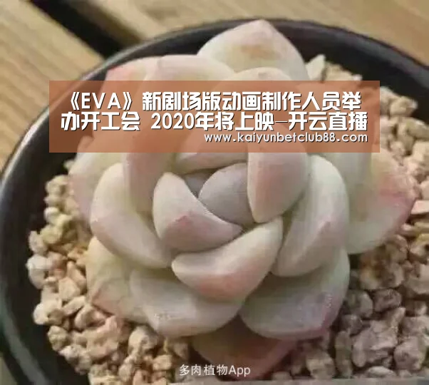《EVA》新剧场版动画制作人员举办开工会 2020年将上映-开云直播(图3) 开云官网