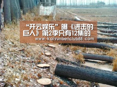 开云娱乐